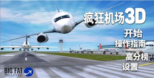 疯狂机场2图片6