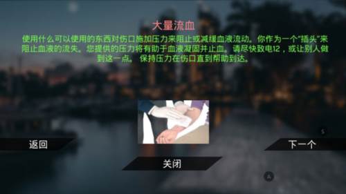真实泊车2正版游戏截图9