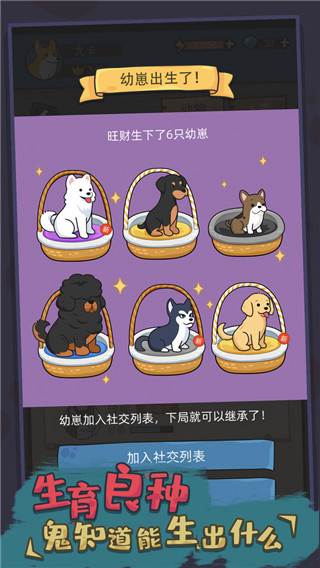 狗生模拟器中文版游戏截图2
