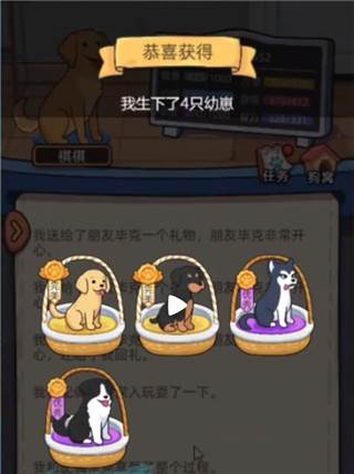 狗生模拟器中文版游戏截图5