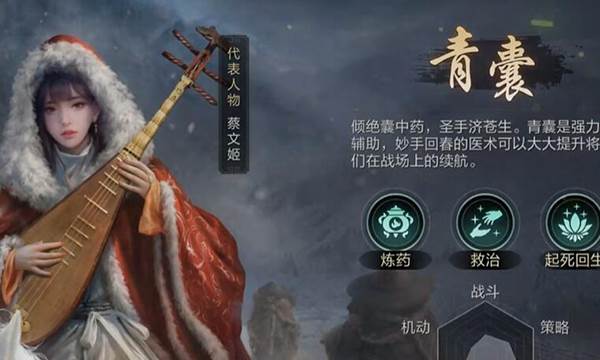 三国谋定天下b站版职业推荐4