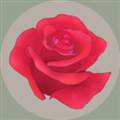 玫瑰花园手机版 RosasGarden