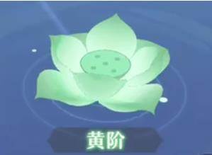 长安幻想小米渠道服游戏截图5