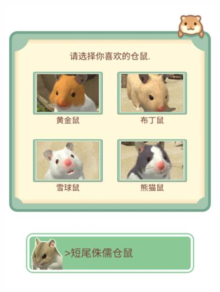 我的仓鼠游戏截图4