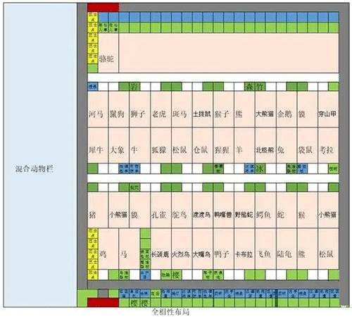 探险顽皮动物园内置菜单版游戏截图10