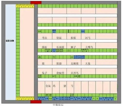 探险顽皮动物园内置菜单版游戏截图12