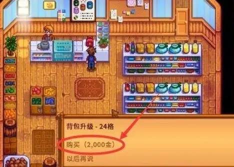 星露谷物语游戏图片14
