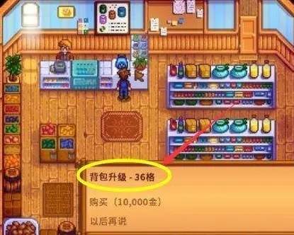 星露谷物语游戏图片15