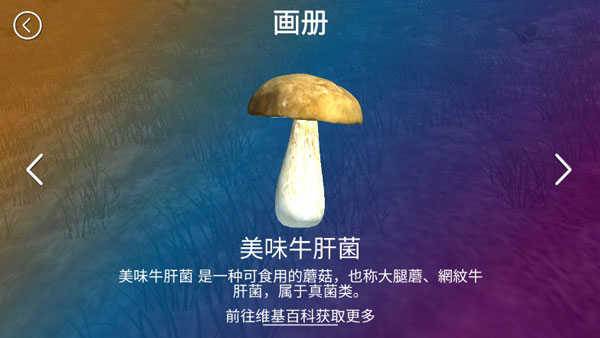 真实采集蘑菇模拟器4