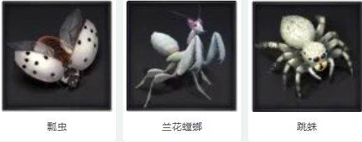 野外生物介绍配图1