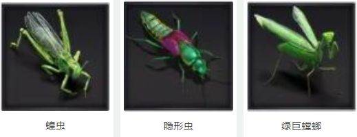 野外生物介绍配图2