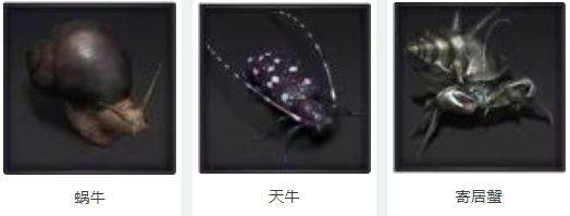 野外生物介绍配图3