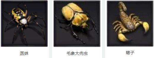 野外生物介绍配图4