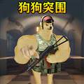 修狗突围正版